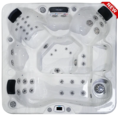 Costa-X EC-749LX hot tubs for sale in Gainesville