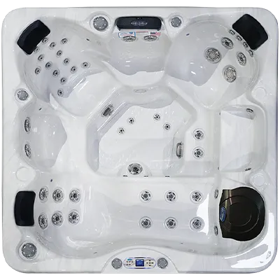 Avalon EC-849L hot tubs for sale in Gainesville