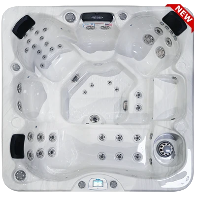 Avalon-X EC-849LX hot tubs for sale in Gainesville