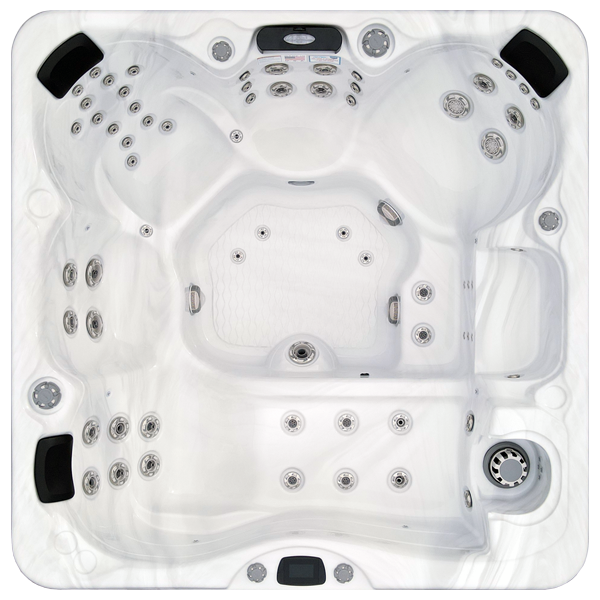 Avalon-X EC-867LX hot tubs for sale in Gainesville